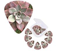 12 Pcs Guitar Picks Personalized Plectrums with Guitar Pick Case Succulent Botanical