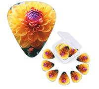12 PCS Guitar Picks Plectrums with Organizer Storage Box Bass Pick Beautiful Flower Personalized Guitar Pick for Acoustic Guitar Electric Guitar Bass Ukulele