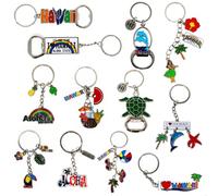 12 Pcs Hawaii Keychain, 4 Bottle Openers, Hawaiian Metal Keychains, I love Hawaii, ALOHA, Dolphins, Turtle, Palm Tree, Coconut, Hawaii License Plate, HI Charms, Key Chain Souvenirs, Gifts, Bundle