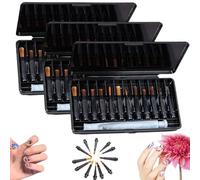 12-Pcs Multifunctional Nail Art Brush Set With Storage Case, Multifunctional Nail Brushes, Interchangeable & Replaceable Heads, for Beginners Diy Home Salon, Portable (3Pcs)