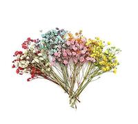 12 Pcs Multiple Beautiful Real Pressed Flower Dried Flowers For Art Craft Scrapbooking Resin Jewelr Making Handmade Dried Flower Phone Case Practical and professional