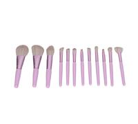 12 Pcs Professional Makeup Brushes Set, Makeup Brush Set, Soft Fluffy Brushes for Foundation Powder Blush Eyeshadow, Portable Cosmetics Beauty Tools with Elegant Purple Design