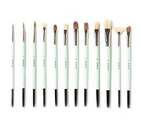 12 pcs Professional Paint Brush Set, Natural Hog Hair and Nylon Bristles, Expert Art Set, Enhanced Synthetic Brushes, Artist Paint Brush Kit with Canvas Roll for Acrylic | Oil | Gouache painting.