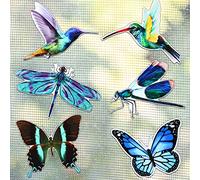 12 Pcs Screen Magnets Butterfly Dragonfly Hummingbird Screen Door Protector Decorative Screen Magnets for Window Double Sided for Screen Sliding Keeps Pet People Sliding Doors Safe (Fresh Style)