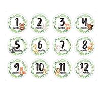 12 PCs/Set Baby Monthly Record Cartoon Floral Printed Stickers Newborn Milestone Stickers Memorial Month Flower Baby Monthly