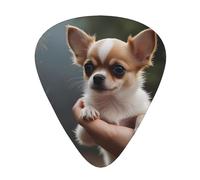 12-Piece Chihuahua puppy Patterned Guitar Pick Set - Available in 3 Thicknesses, Suitable for Acoustic and Electric Guitars