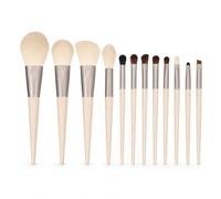 12-Piece eup Brush Set for Foundation, Concealer, & Eyeshadow - Versatile eup Brushes Kit, style to 1