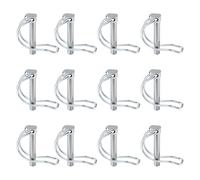 12 Piece High Strength Plate D Shaped Foldable Latches Pins D Rings Locking Pins Ideal for Camping & Storage Needs Camping Equipment Screws