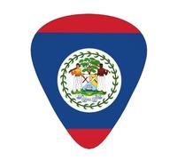 12-Piece Mixed Thickness Belize Flag Patterned Guitar Pick Set - Designed for Acoustic and Electric Guitars