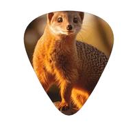 12-Piece Mixed Thickness meerkat Patterned Guitar Pick Set - Designed for Acoustic and Electric Guitars