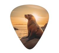 12-Piece sea lion print Guitar Pick Set - Available in 3 Thicknesses, Suitable for Acoustic and Electric Guitars
