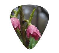 12-Piece Spring buds after rain Patterned Guitar Pick Set - Available in 3 Thicknesses, Suitable for Acoustic and Electric Guitars
