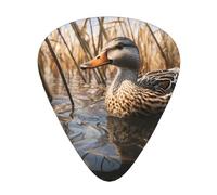 12-Piece Swimming Mallard Ducks Patterned Guitar Pick Set - Available in 3 Thicknesses, Suitable for Acoustic and Electric Guitars