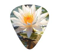 12-Piece Thailand's national flower print Guitar Pick Set - Available in 3 Thicknesses, Suitable for Acoustic and Electric Guitars
