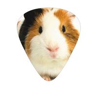 12-Piece Ukulele, Bass, Electric and Acoustic Guitar Pick Set-Must Have for Guitars Players-Cute Guinea Pig