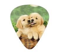 12-Piece Ukulele, Bass, Electric and Acoustic Guitar Pick Set-Must Have for Guitars Players-Puppy golden retriever