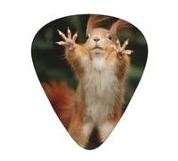 12-Piece Ukulele, Bass, Electric and Acoustic Guitar Pick Set-Must Have for Guitars Players-Squirrel Funny Animal