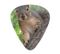 12-Piece Ukulele, Bass, Electric and Acoustic Guitar Pick Set-Must Have for Guitars Players-Squirrel in The Tree