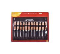 12 PIECE WOOD CARVING CHISEL SET AMTECH WOODWORKING TOOLS CHISELS CRAFT E0900