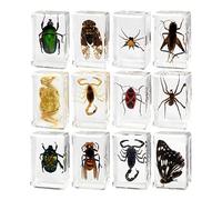 12 Pieces Animal in Resin Collection for Classroom Biologists Boys and Girls