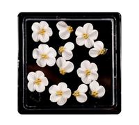 12 Pieces Fashion 3D Nails Charm Resin Rose Camellia Accessories Macniure Art for Fashion Enthusiasts Fashionable Nail Art Supplies