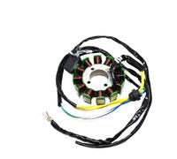 12 Pole Coil Magneto Stator 5 Wire 200C Compatible With 250CC CG Engine Dirt Pit Bike ATV Quad Parts Fits Bashan Shineray Jinling Models