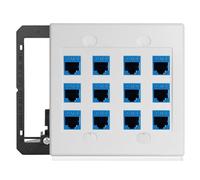 12 Port Ethernet Wall Plate Cat6 Jack RJ45 Keystone Cables Inline Coupler Wires Connector Date Box Cover with 2 Gang Low Voltage Mount Gift for Network Outlet Setup