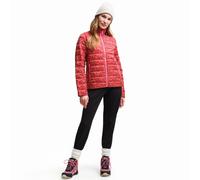 (12, Red) Regatta Womens Orla Kiely Printed Baffled Water-Repellent Padded Jacket