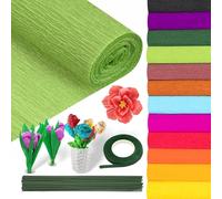 12 Rolls 25x250cm Crepe Paper Roll Crepe Paper for Flower Making with Floral Tape and Iron Wiree for DIY Flowers Crafts Festivals Party Supplies (12 Colours)