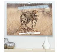 12 Schritte durch die Wildnis, Kruger Park Edition (hochwertiger Premium Wandkalender 2026 DIN A2 quer), Kunstdruck in Hochglanz: Ein Kalender, der ... Afrikas in jedem Monat zum Leben erweckt.