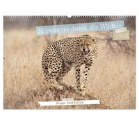 12 Schritte durch die Wildnis, Kruger Park Edition (Wandkalender 2026 DIN A2 quer), CALVENDO Monatskalender: Ein Kalender, der mit 12 poetischen ... ... Afrikas in jedem Monat zum Leben erweckt.