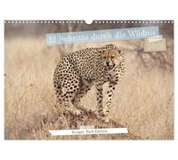 12 Schritte durch die Wildnis, Kruger Park Edition (Wandkalender 2026 DIN A3 quer), CALVENDO Monatskalender: Ein Kalender, der mit 12 poetischen ... ... Afrikas in jedem Monat zum Leben erweckt.