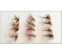12 Sedge and Tilt Wing Dry Trout Flies, barbed or Barbless, size choice (Barbed, Mixed)