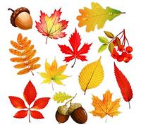 12 Set Thanksgiving Refrigerator Magnets Fall Maple Leaves Magnetic Stickers Thanksgiving Garage Door Magnets PVC Acorn Harvest Autumn Magnets for Indoor Outdoor Fridge Car Dishwasher, Assorted Styles