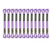 12 Skeins Embroidery Floss, Purple Metallic Embroidery Thread Polyester Cross-Stitch Threads for Hand Embroidery String Art DIY Creation