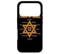 12 Twelve Tribes of Israel Hebrew Israelite Judah Jerusalem Case for iPhone 17 Pro