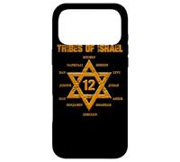 12 Twelve Tribes of Israel Hebrew Israelite Judah Jerusalem Case for iPhone 17 Pro Max