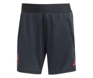 (12 UK, Black) Adidas Womens/Ladies 2025/2026 Liverpool FC Training Shorts