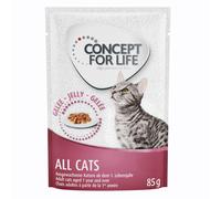 12 x 85g Concept for Life Wet Cat Food - Special Price! * - All Cats - in Jelly (12 x 85g)