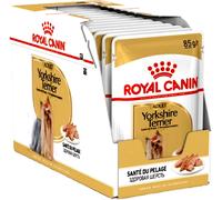 12 x 85g ROYAL CANIN YORKSHIRE TERRIER POUCHES complete small dog rc wet food