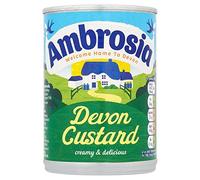 12 X AMBROSIA DEVON CUSTARD 400GR 400g (12 PACK BUNDLE)