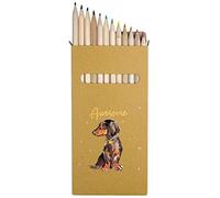 12 x 'Awesome Star Sausage Dog ' Long 178mm Coloured Pencils/Pencil Set (PE00050221)
