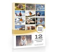 12 x British Winter Wildlife Folding Greeting Cards with Envelopes. Winter UK Countryside Collection. Blank Inside for All Occasions