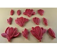 12 x Edible 3D 50mm Tulip Lilly flowers Set, icing toppers, cake cupcakes decorations T076 (Red)