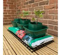 12 X Grow Bag Watering Pots Tomato Ring Culture Bottomless Planter Growbag Grow