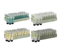 12 x Mason & Miller Travel Sachets (12 x 20ml - 3 x Shampoo, Conditioner, Shower Gel & Moisturiser)