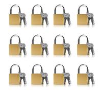 12 x Small Brass Padlocks 20mm with 24 Keys, Mini Solid Padlock for Lockers, Luggage, Suitcases, Tool Boxes, Jewellery Boxes & Cupboards, Rustproof Compact Travel Padlocks for Security