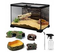 12"x8"x6" Mini Reptile Glass Terrarium Tank Kit (7 Pcs) Full View Habitat Enclosure with Feeding Slot & Lock for Tarantulas, Geckos, Frogs, Spiders, Insects, Amphibians & Small Pets