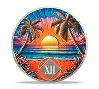 12 Year Sobriety Coin - Beach NA Medallions | Narcotics Anonymousa AA Chips and Medallions | Addiction Recovery Gifts for Celebrating Recovery Anniversary Milestones | Sobriety Gifts for Women & Men