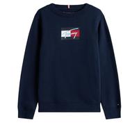 (12 Years, Night Navy) Tommy Hilfiger Childrens/Kids Cotton Blend Crew Neck Regular Sweatshirt